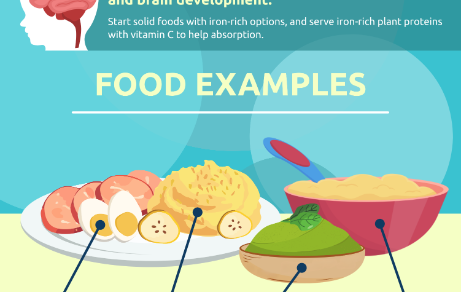 Feeding Poster 1 – First Iron Tastes & Options