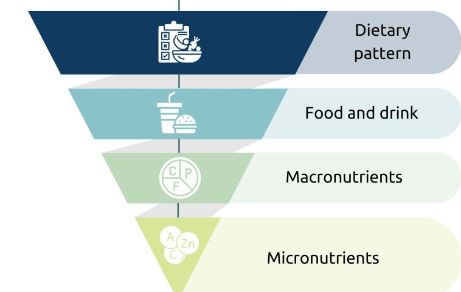 Dietary Patterns in Paediatric Age
