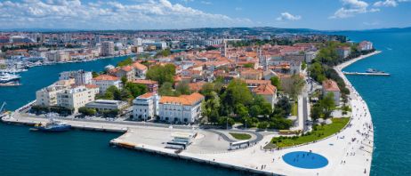 Young Investigator Forum 